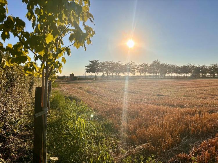 Strada Brebenei 1, Lilieci, Ialomita - 3