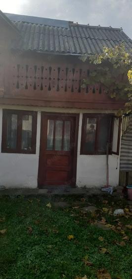 Casa cu curte mare ?i vie pe spalieri - 3