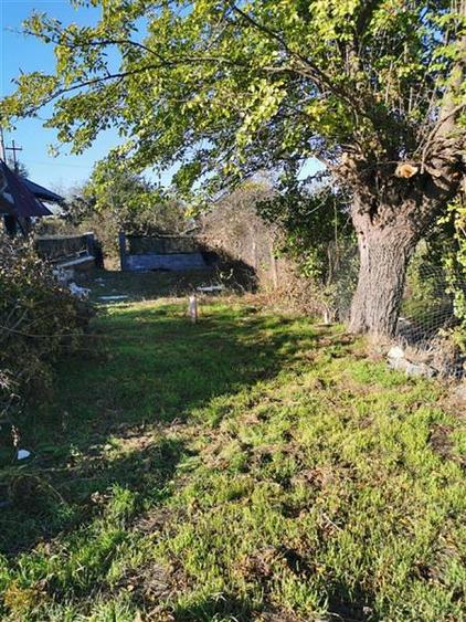 Teren de vanzare in Nifon Tulcea - 3