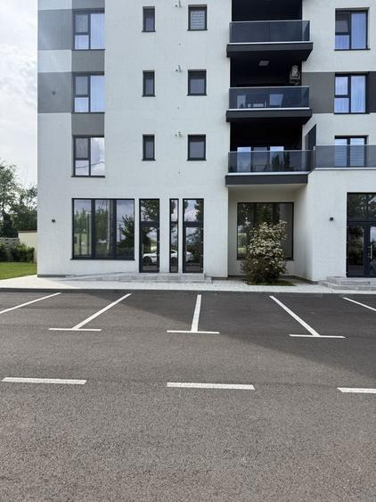 Spatiu comercial de inchiriat - 1