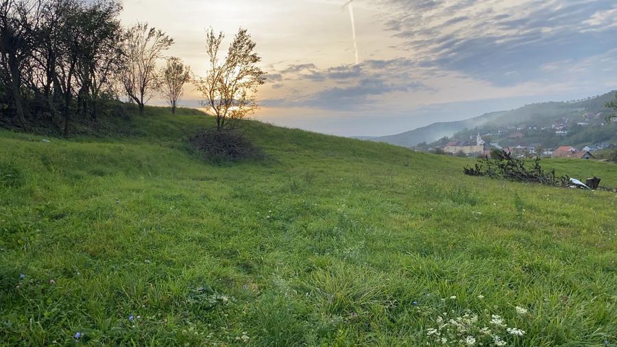 Teren intravilan de vânzare - ideal pentru construcția casei tale! - 4