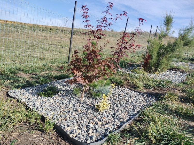 Ofer gradina de relaxare si stat in tihna, in Cluj-Napoca - 2