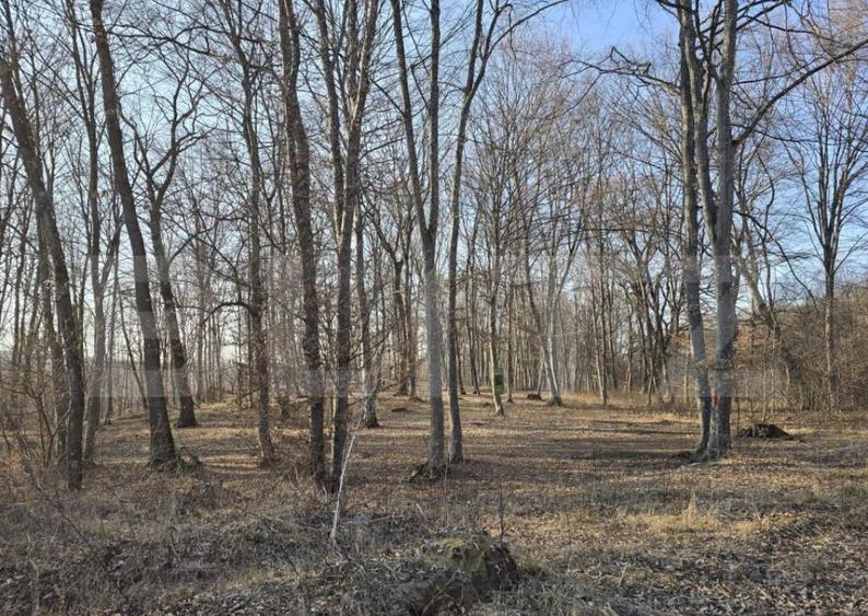 Teren cu sufrafata de 1100 mp in Padurea Faget - 8