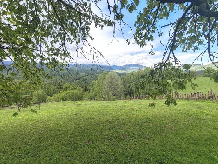 Oportunitate rara! Teren 7.283 mp, investitie garantata - 11