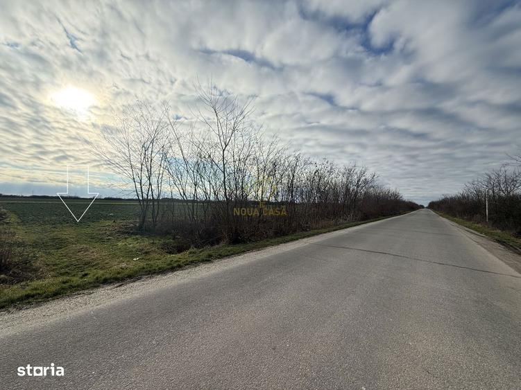 Teren 6600MP Cu Front Stradal 101 M La Intrare in Lazuri Str Botizului - 5