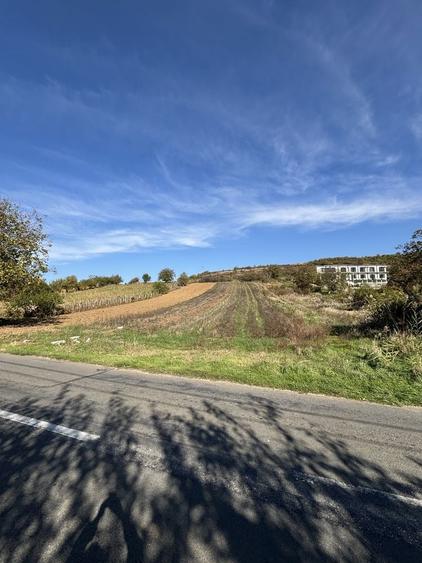 Vand teren la Dunare, DN 57, Liubcova (comuna Berzasca) - 5