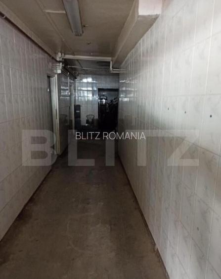 Hala industriala, 5 camere, 895mp, Sangeorgiu de Mures