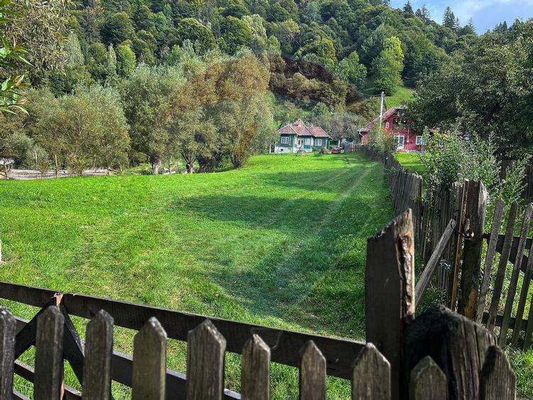 Teren 6,135mp Moieciu de Jos / Strada Principala - 6