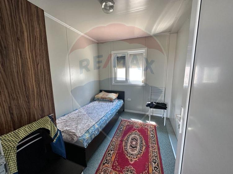 Ferma porcine la cheie - 18