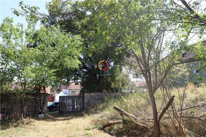 casa traditionala Bruiu Somartin judet Sibiu - 3