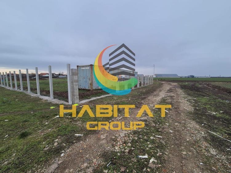 Teren kintravilan Sindrilita Afumati - 5