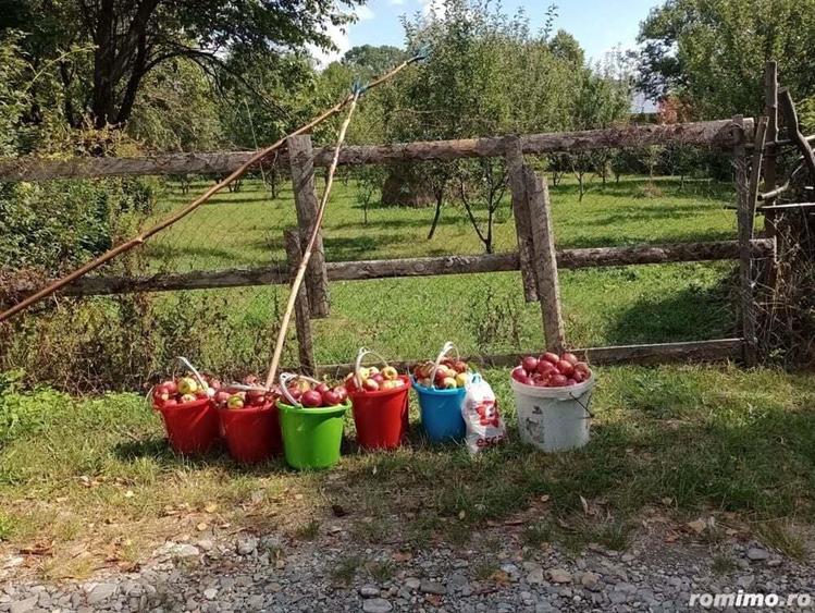 Teren Breaza 800 mp - 1600 mp - 1