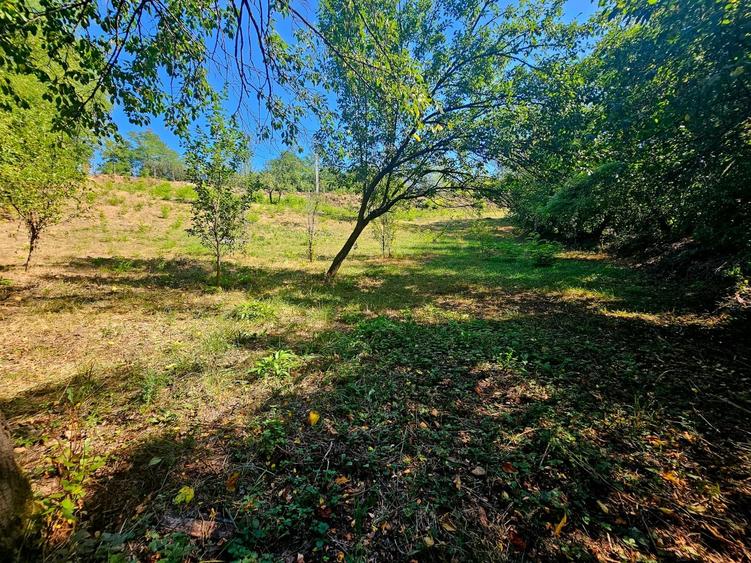 Teren intravilan 2322 mp, Păcuri – vedere superbă spre pădure! - 7