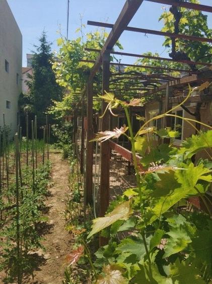 Zona Centrala - Teren 635 mp - 1