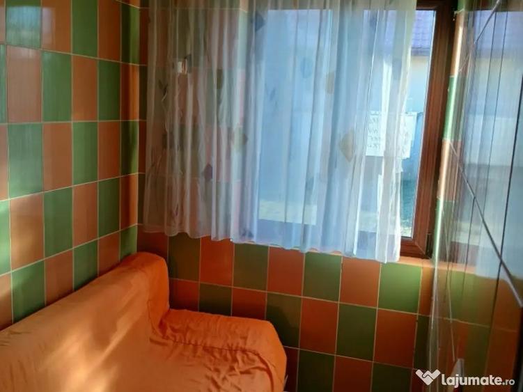 Vand casa sat Campu Mare,comuna Albeni - 4