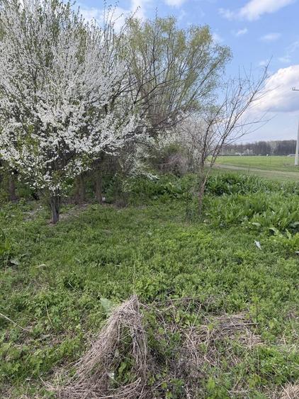 15000 negociabil - 3