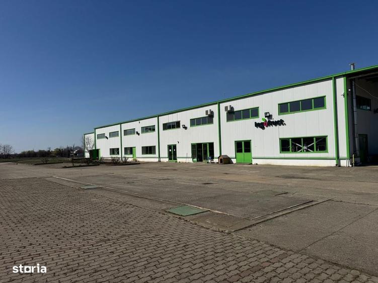 Hala productie/ depozitare frigorifica in Timisoara - 2