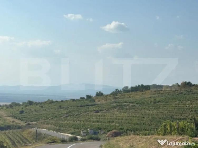 Casa cu 2 camere demolabila, suprafata teren 1700mp + super - 11