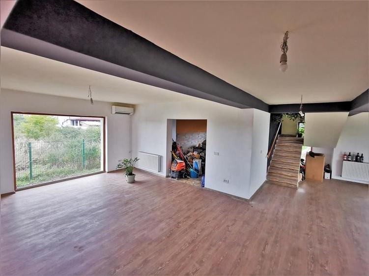 Vila Deosebita Rudicica - 7