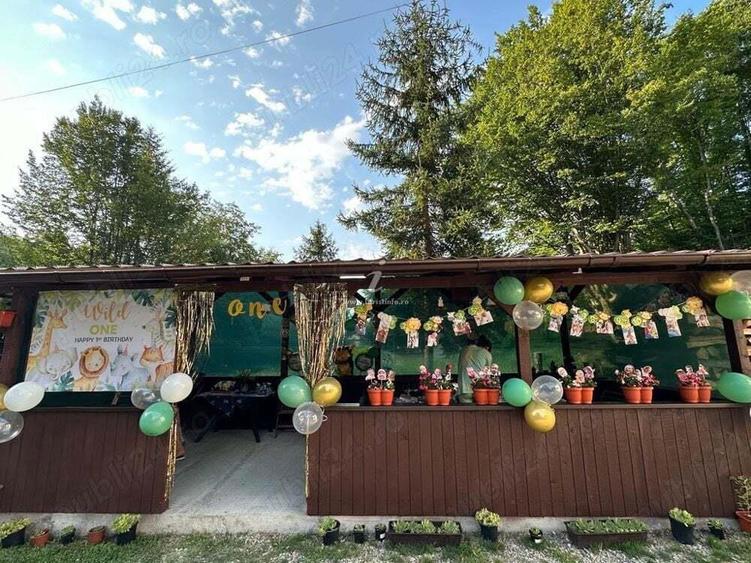 Vanzare Vila P + 1 mobilata si utilata, Localitatea Porumbacu de Sus, Jud. Sibiu - 16