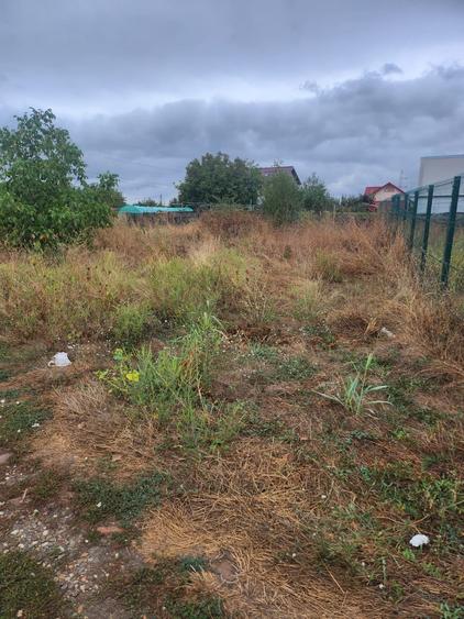 Teren intravilan 400 mp - 28000 euro! Magurele - 3