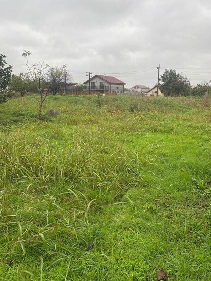 Teren intravilan Tuzla 665 mp aproape de plaja - 9