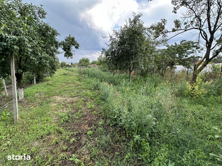Casă cu 3 camere cu Teren 2200 Mp în Târnăveni