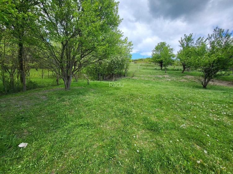 Teren intravilan 2500 mp + casa + anexe, CF 62707 Dej (Pintic nr. 223) 32.000 Euro Neg.