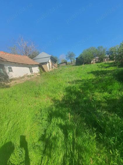 Casă cu 2 camere cu Teren 1402 Mp în Turia