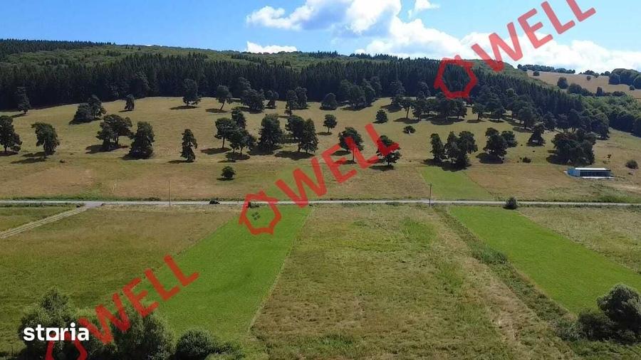 Teren de 3450 mp, în Valea Mare