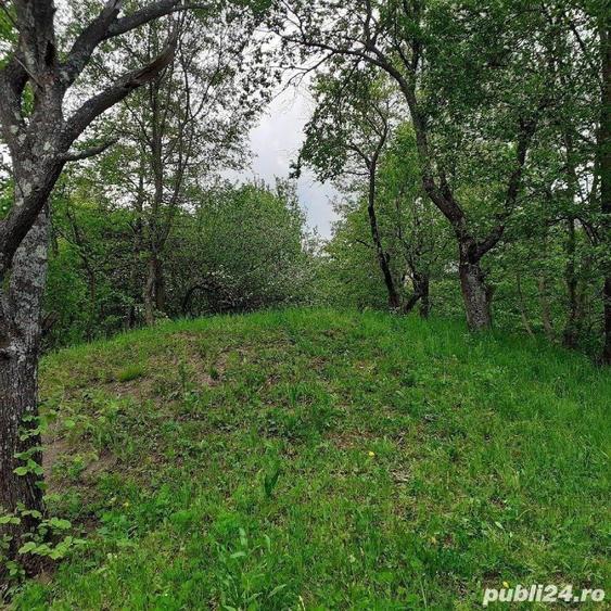 Teren de 5150 mp, în Șotrile