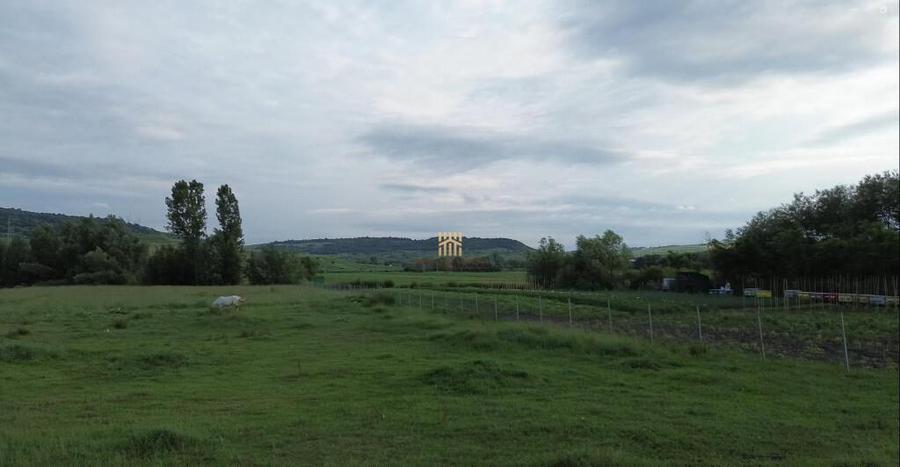 Teren 3953 mp Falticeni Tarna Mare De 0727817187 - 5