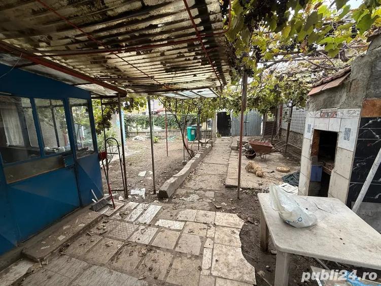 casa batraneasca - 7