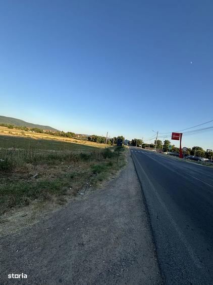 TEREN DE VANZARE - Direct PROPRIETAR in Moldova Noua - 4
