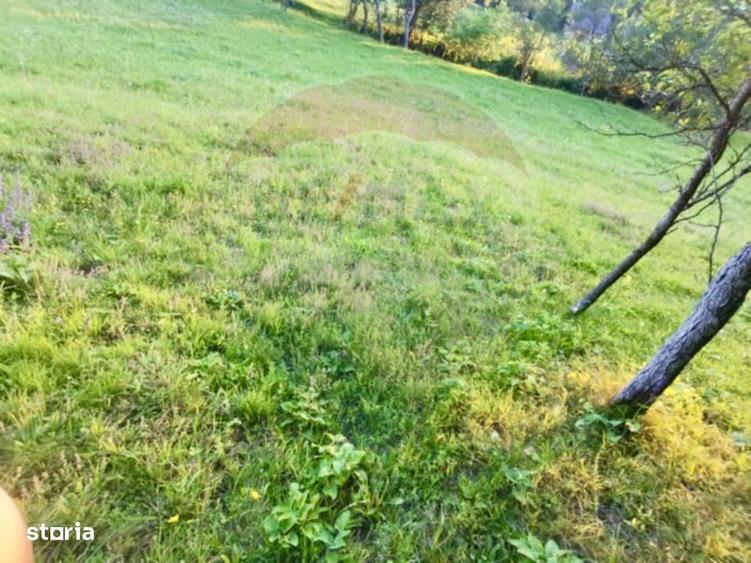 Teren extravilan Breb 6,900mp - 4
