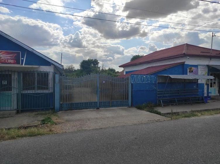 Vanzare casa - magazin - Licuriciu, Calinesti - Teleorman - teren 1400mp - 2