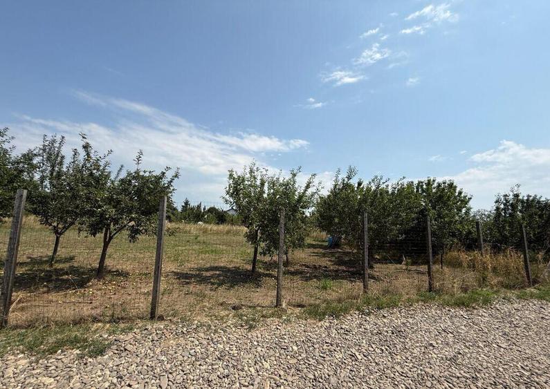 VALEA URSULUI, TEREN INTRAVILAN DE , LA MARGINE DE PADURE - 9