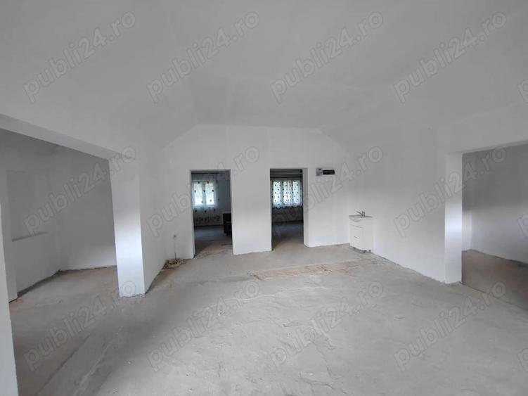 Gospodarie langa Deva - 3