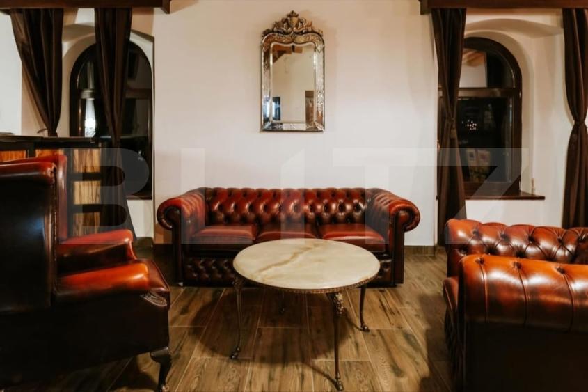 Conac de vanzare 7 camere cu bai proprii, crama, ciubar si potential - 6