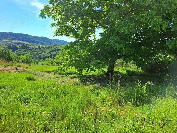 Vand casa Urvi? de Beiu? - 3