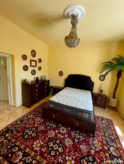 Casa individuala Musicescu. Timisoara - 7