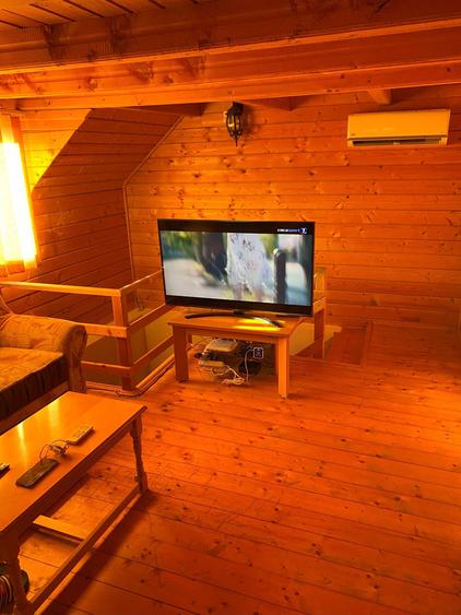 Casa de vanzare in Comuna Leleasca, satul Afumati, Judetul Olt - 4