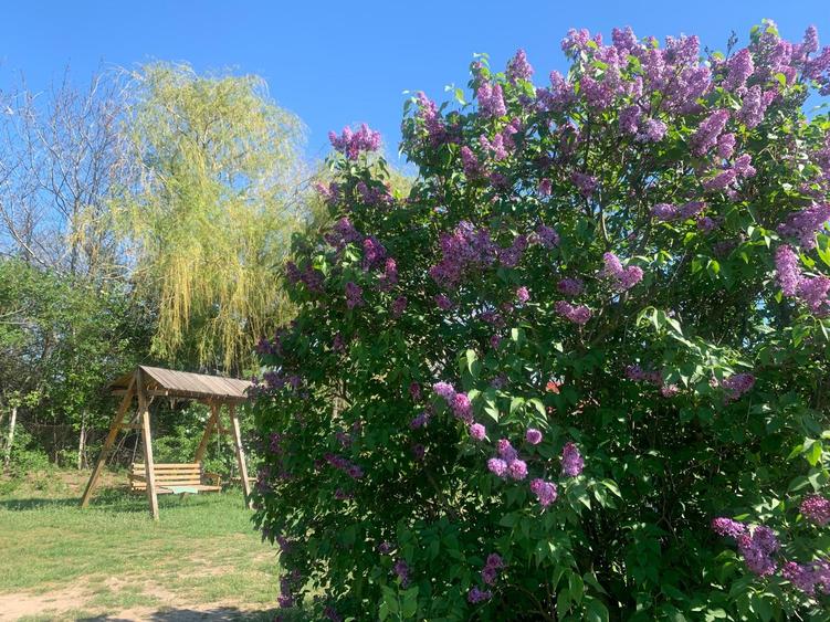 Fermă de vânzare - DN3 - 84m deschidere - 33