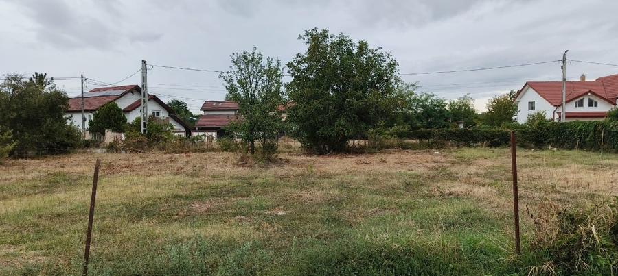 1570 mp Teren de vanzare in Mogosoaia - 1