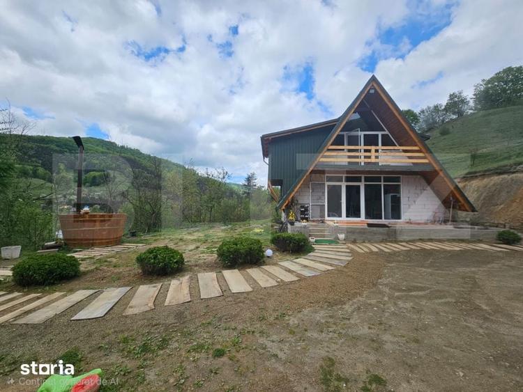 Cabana autentica cu 4565 mp teren, Liniste si Confort, Avram Iancu - 1