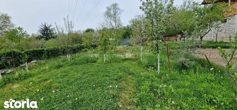 Resita Teren 778 Mp Intravilan Zona Renk - 9