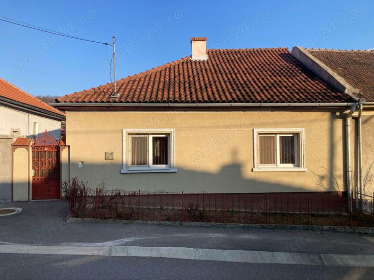 Casa de vanare, zona linistita,vedere la Dunare - 11
