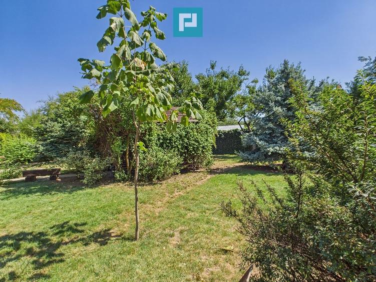 Pensiune la Orțișoara - 51