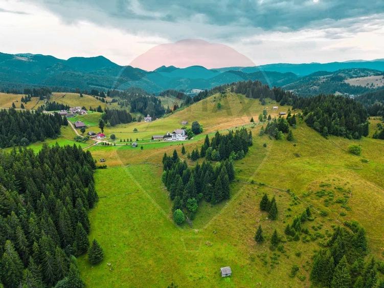 Teren de 7830mp de vanzare in Fundata! Comision 0% - 26