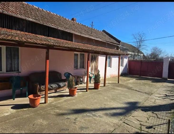 Vand casa Satchinez - 3